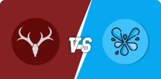 Spirit Vs Tornadoes Fantasy Prediction, Pitch Report, Weather Forecast, Playing XI for Fairbreak Global Invitational Women’s T20, SPI vs TOR dream11 prediction, SPI vs TOR dream11 team, SPI vs TOR pitch report