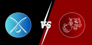 Dunabogdany CC vs Royal Tigers Budapest: DCC vs ROT Match Prediction, Weather Forecast, Pitch Report & Expected Playing XI in ECS Hungary, DCC vs ROT dream11 prediction, cricket, match predition, fantasy, T10
