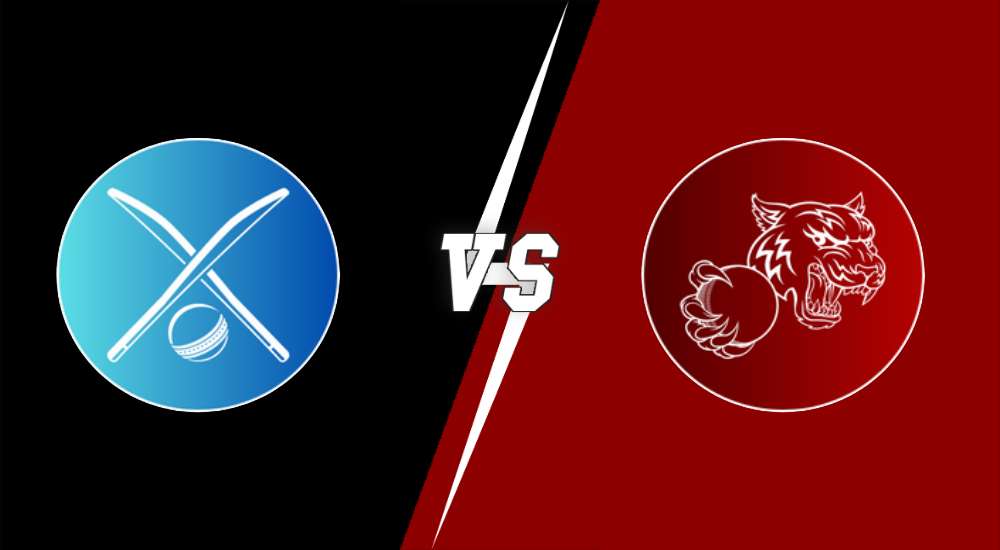 Dunabogdany CC vs Royal Tigers Budapest: DCC vs ROT Match Prediction, Weather Forecast, Pitch Report & Expected Playing XI in ECS Hungary, DCC vs ROT dream11 prediction, cricket, match predition, fantasy, T10