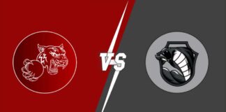 Royal Tigers Budapest vs Cobra Cricket Club: ROT vs COB Match Prediction, Weather Forecast, Pitch Report & Expected Playing XI in ECS Hungary, ROT vs COB dream11 prediction, cricket, fantasy , dream11 team, t10, fantasy cricket