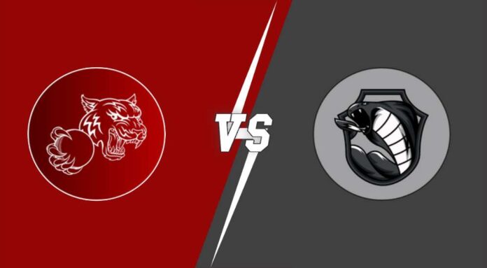 Royal Tigers Budapest vs Cobra Cricket Club: ROT vs COB Match Prediction, Weather Forecast, Pitch Report & Expected Playing XI in ECS Hungary, ROT vs COB dream11 prediction, cricket, fantasy , dream11 team, t10, fantasy cricket