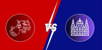 Royal Tigers Budapest vs United Csalad Budapest: ROT vs UCB Match Prediction, Weather Forecast, Pitch Report & Expected Playing XI in ECS Hungary, ROT vs UCB dream11 prediction, UCB vs BLB dream11 prediction, ROT vs COB dream11 prediction, cricket, T10, ECS Hungary, Match Prediction, Fantasy cricket