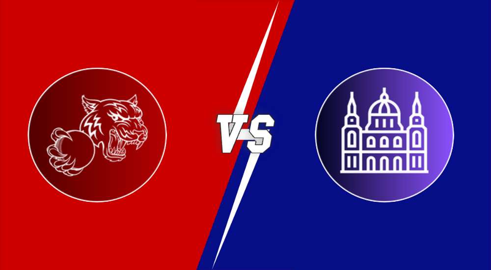 Royal Tigers Budapest vs United Csalad Budapest: ROT vs UCB Match Prediction, Weather Forecast, Pitch Report & Expected Playing XI in ECS Hungary, ROT vs UCB dream11 prediction, UCB vs BLB dream11 prediction, ROT vs COB dream11 prediction, cricket, T10, ECS Hungary, Match Prediction, Fantasy cricket